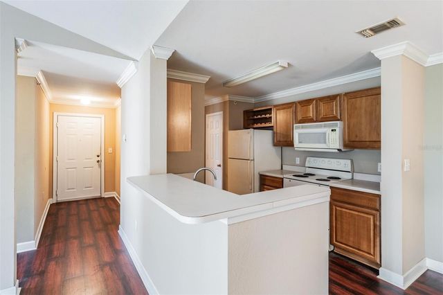 18119 BRIDLE CLUB DRIVE, Tampa, FL 33647