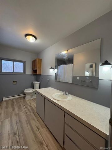 2855 E County Line Road, Hale, MI 48739