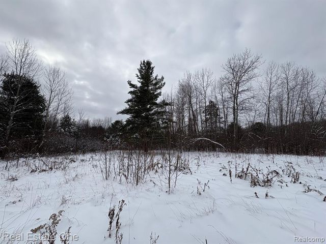 2855 E County Line Road, Hale, MI 48739