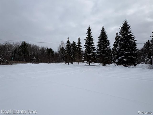 2855 E County Line Road, Hale, MI 48739