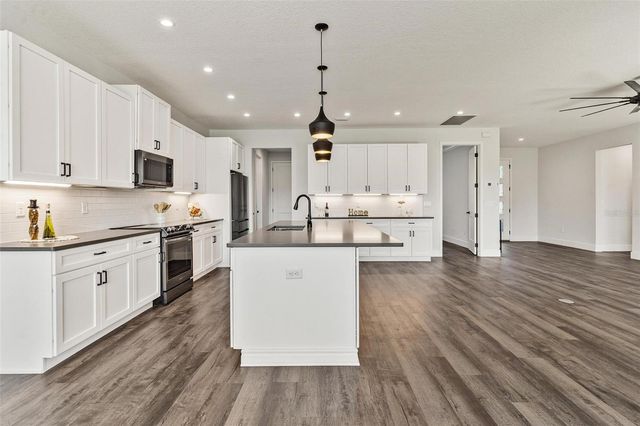 415 N DIXIE DRIVE, Howey In The Hills, FL 34737