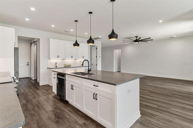 415 N DIXIE DRIVE, Howey In The Hills, FL 34737