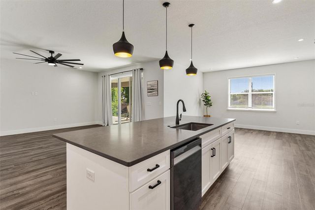 415 N DIXIE DRIVE, Howey In The Hills, FL 34737