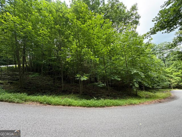 LOT 19 Mill Ridge Rd, Hiawassee, GA 30546