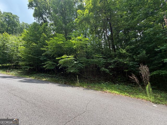LOT 19 Mill Ridge Rd, Hiawassee, GA 30546