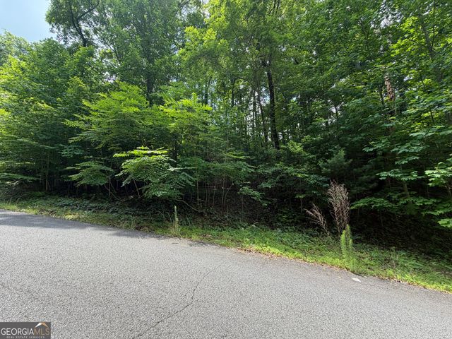 LOT 19 Mill Ridge Rd, Hiawassee, GA 30546