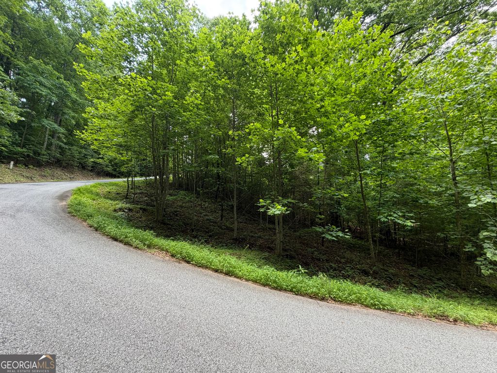 LOT 19 Mill Ridge Rd, Hiawassee, GA 30546