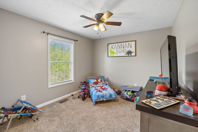119 Gibbs Landing Dr, Carthage, TN 37030