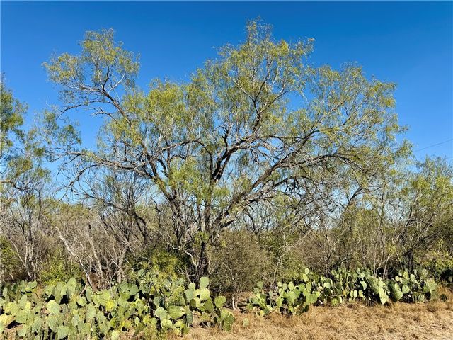 0 County Road 215- 30 acres, Mccoy, TX 78113