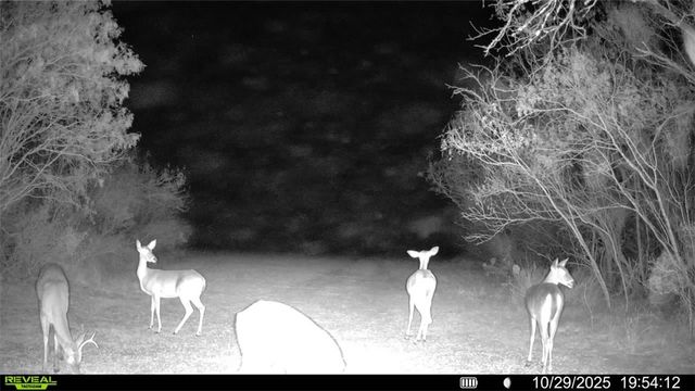 0 County Road 215- 30 acres, Mccoy, TX 78113