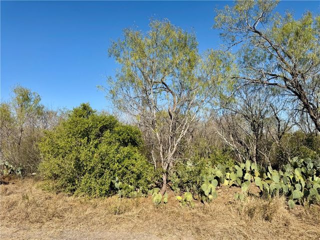 0 County Road 215- 30 acres, Mccoy, TX 78113