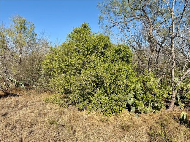 0 County Road 215- 30 acres, Mccoy, TX 78113