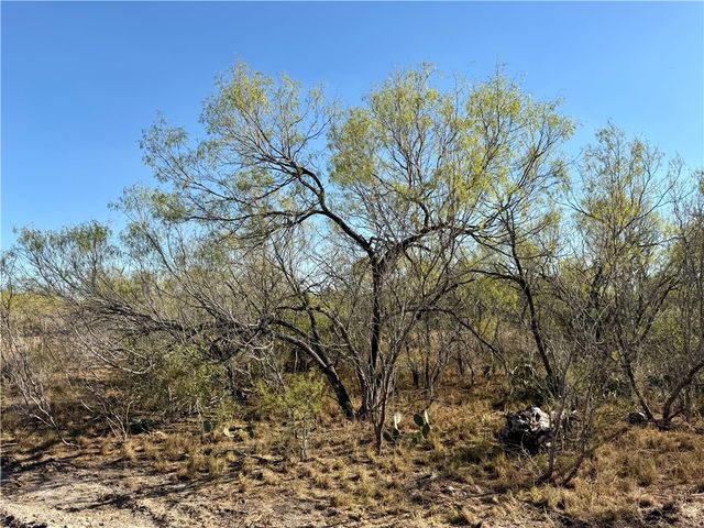 0 County Road 215- 30 acres, Mccoy, TX 78113