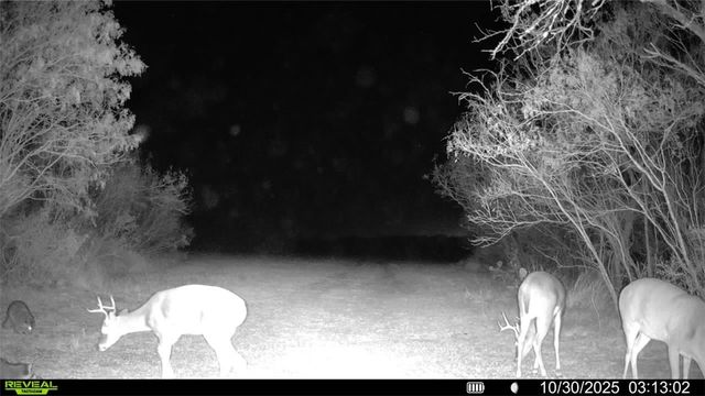 0 County Road 215- 30 acres, Mccoy, TX 78113