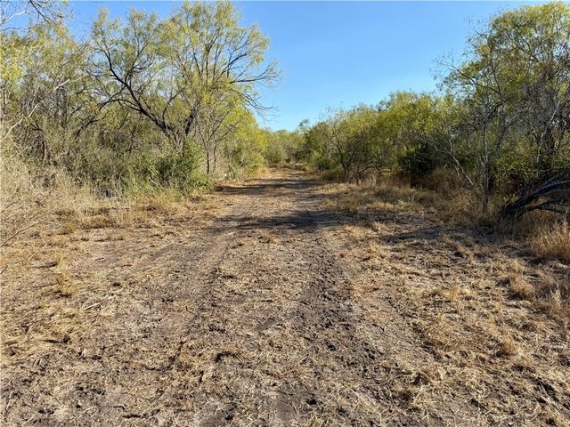 0 County Road 215- 30 acres, Mccoy, TX 78113
