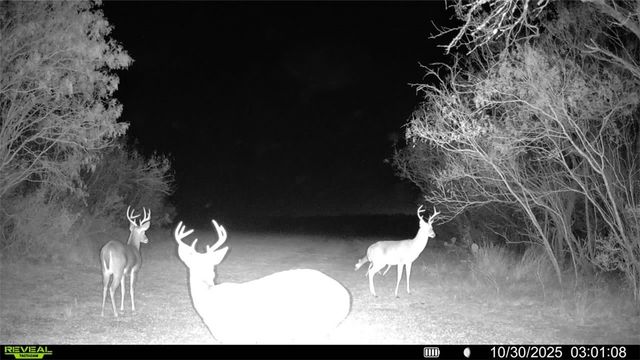 0 County Road 215- 30 acres, Mccoy, TX 78113