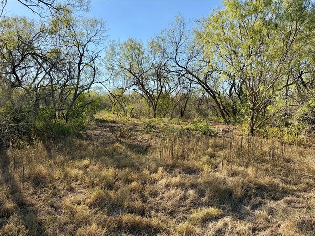 0 County Road 215- 30 acres, Mccoy, TX 78113