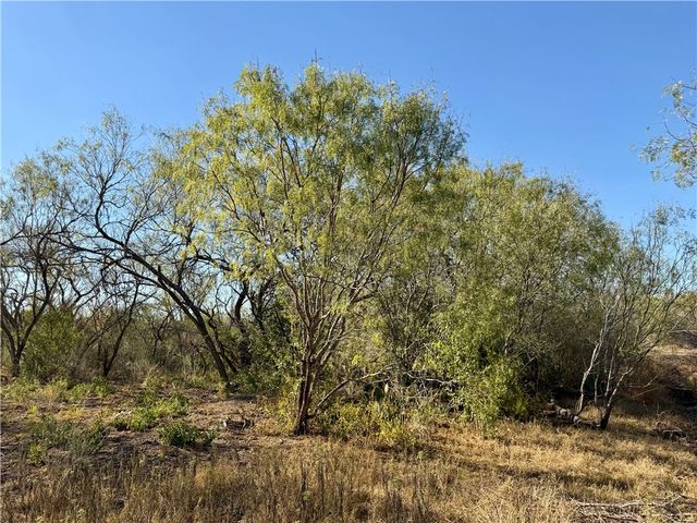 0 County Road 215- 30 acres, Mccoy, TX 78113