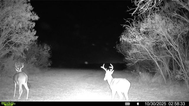 0 County Road 215- 30 acres, Mccoy, TX 78113