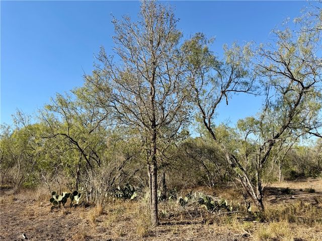 0 County Road 215- 30 acres, Mccoy, TX 78113