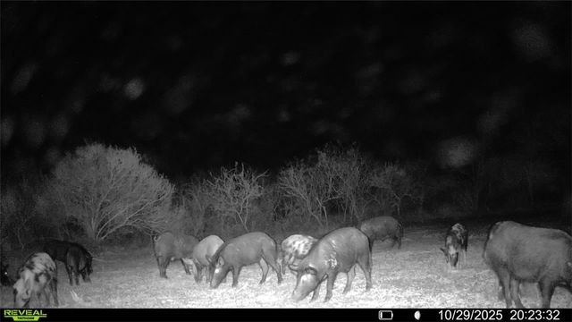 0 County Road 215- 30 acres, Mccoy, TX 78113