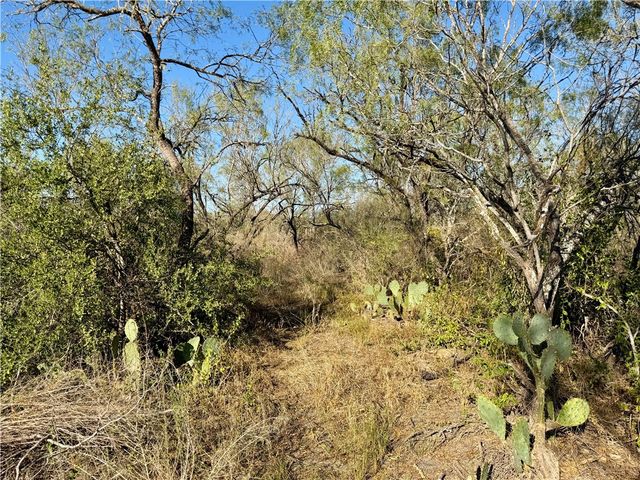 0 County Road 215- 30 acres, Mccoy, TX 78113