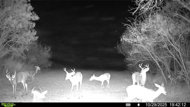 0 County Road 215- 30 acres, Mccoy, TX 78113