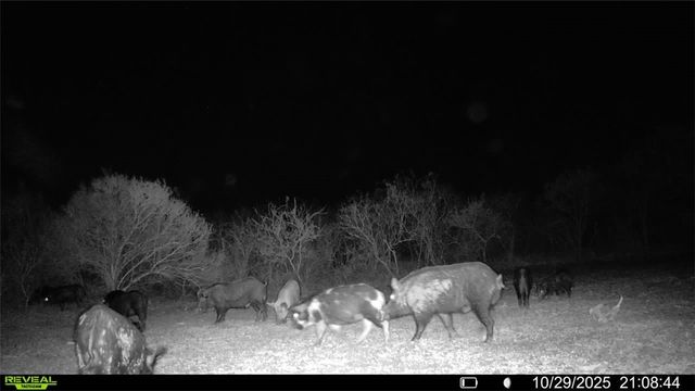 0 County Road 215- 30 acres, Mccoy, TX 78113