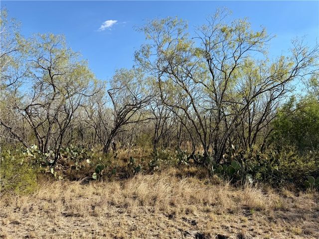 0 County Road 215- 30 acres, Mccoy, TX 78113