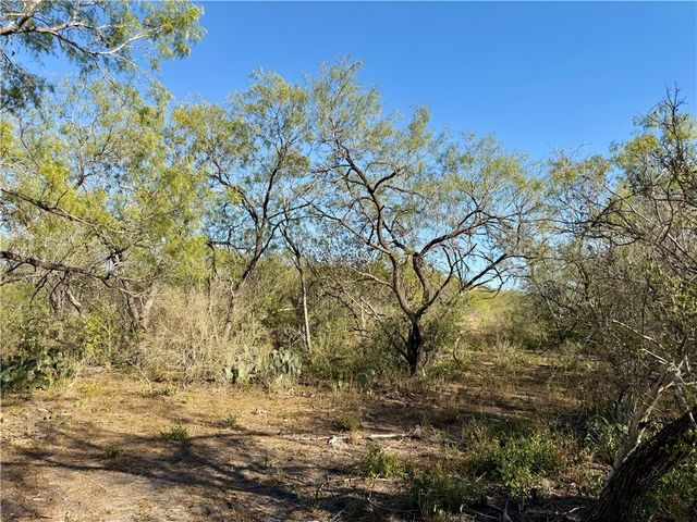 0 County Road 215- 30 acres, Mccoy, TX 78113