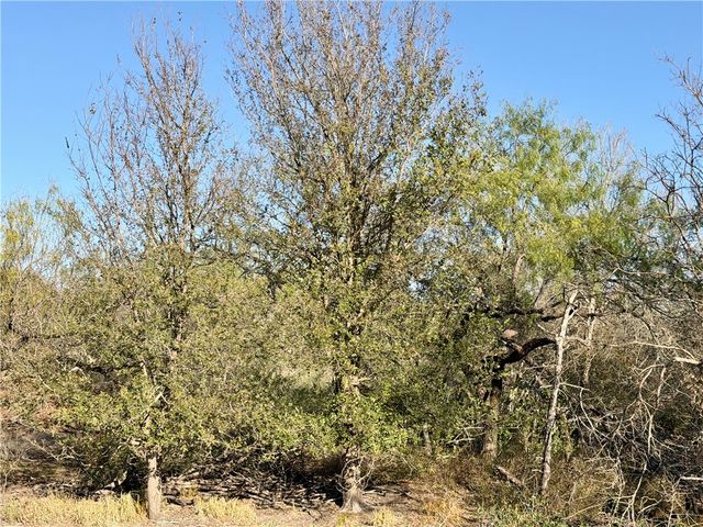 0 County Road 215- 30 acres, Mccoy, TX 78113