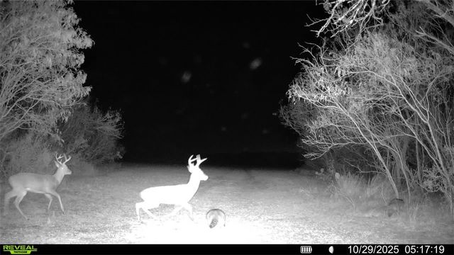 0 County Road 215- 30 acres, Mccoy, TX 78113