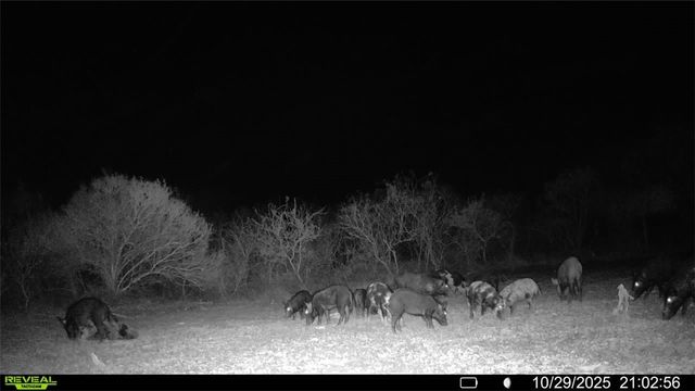 0 County Road 215- 30 acres, Mccoy, TX 78113