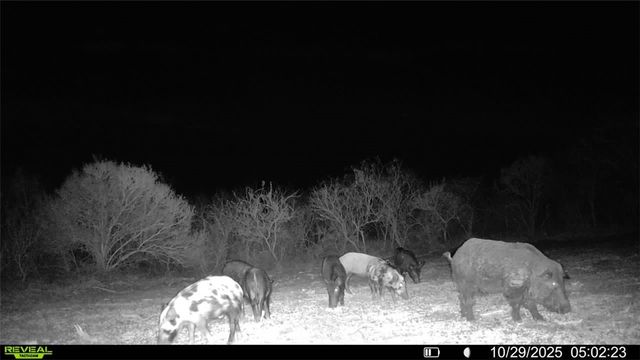 0 County Road 215- 30 acres, Mccoy, TX 78113