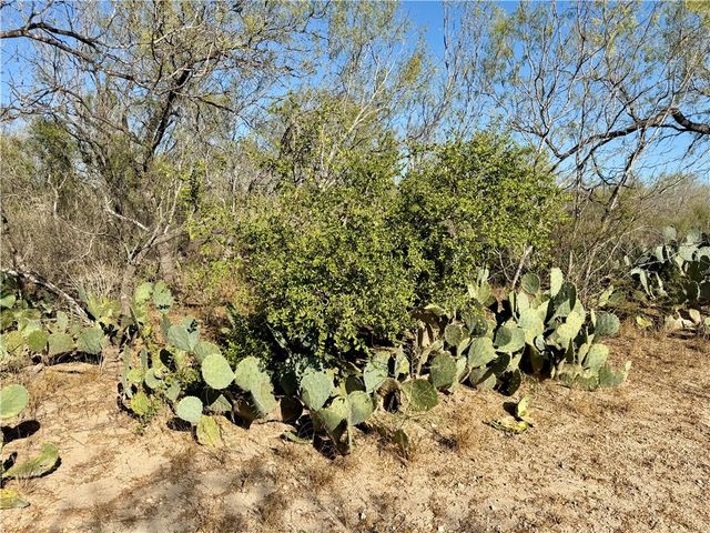 0 County Road 215- 30 acres, Mccoy, TX 78113