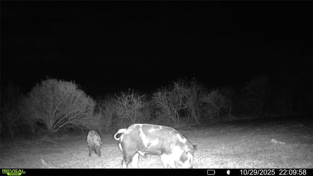 0 County Road 215- 30 acres, Mccoy, TX 78113