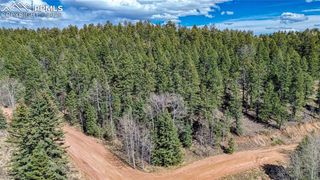 3075 N Mountain Estates Road, Florissant, CO 80816