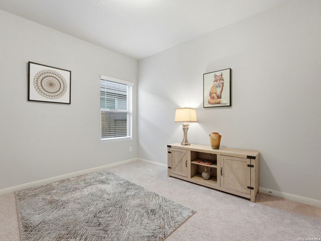 953 Willowbrook, New Braunfels, TX 78130