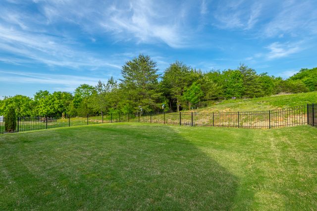 8896 Little Pine Lane, Ooltewah, TN 37363