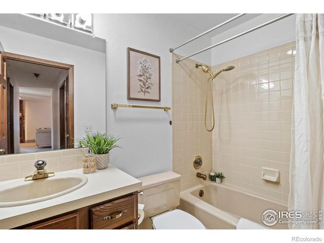 903 Conifer Court, Windsor, CO 80550