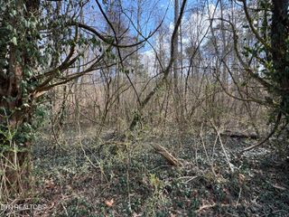 918 McCubbins Rd, Strawberry Plains, TN 37871