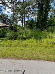 854 Thuringer Street NW, Palm Bay, FL 32907