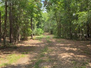 10.61 Acres Johnson Road, Montgomery, TX 77356