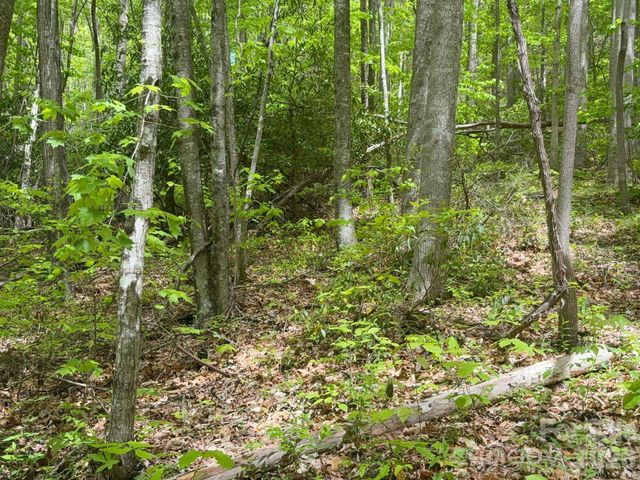 999999 Harwood Road 2, Barnardsville, NC 28709