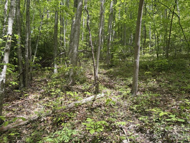 999999 Harwood Road 2, Barnardsville, NC 28709