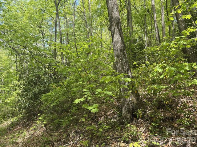 999999 Harwood Road 2, Barnardsville, NC 28709