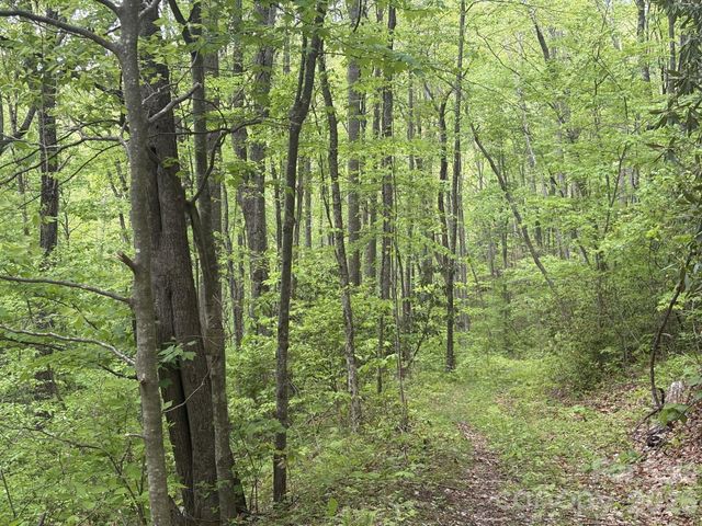 999999 Harwood Road 2, Barnardsville, NC 28709