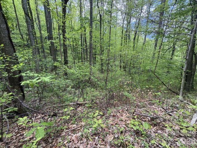 999999 Harwood Road 2, Barnardsville, NC 28709