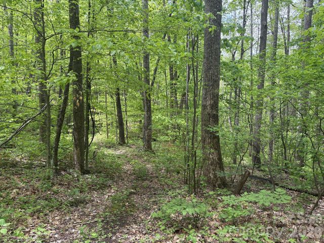 999999 Harwood Road 2, Barnardsville, NC 28709