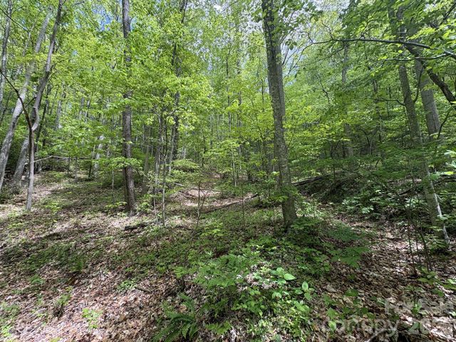 999999 Harwood Road 2, Barnardsville, NC 28709
